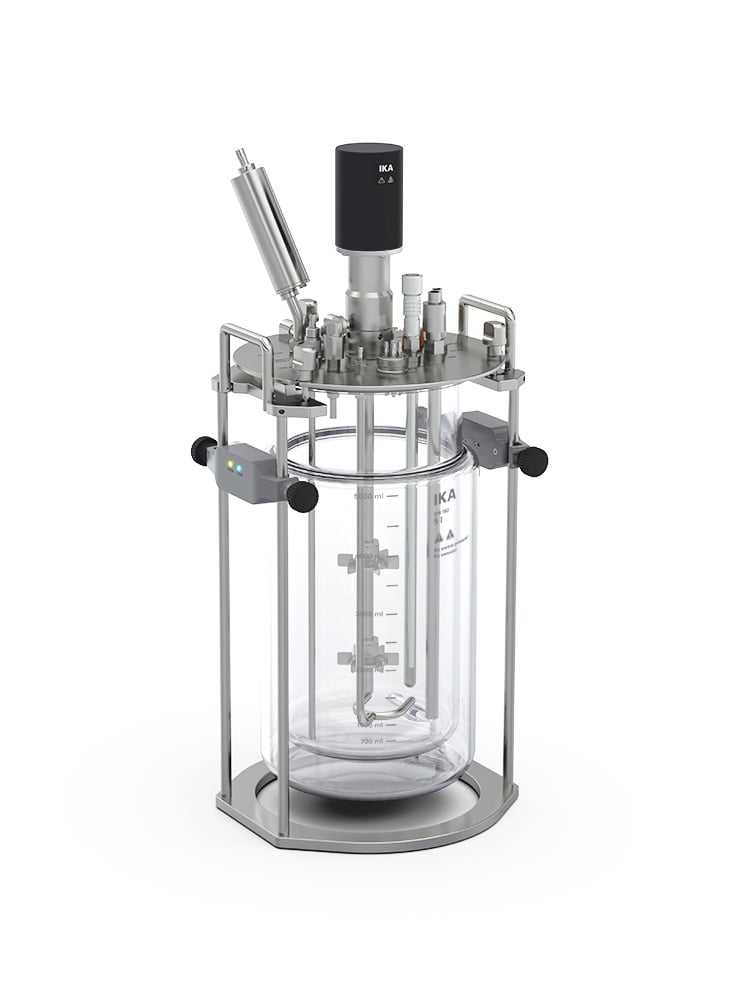 HABITAT ferment dw 5