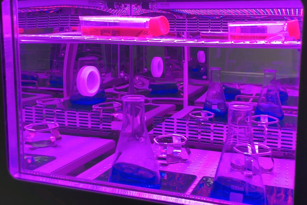 LED Lighting panel and control kit, red & blue for ZWYR-293; ZWYC-293G