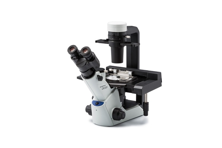 CKX53 Compacte Microscoop voor Celculturen