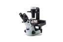 CKX53 Compact Cell Culture Microscope