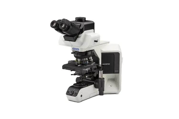 BX53 Semigemotoriseerde Fluorescentiemicroscoop