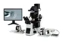 IX73 ICSI/IMSI Omgekeerd Microscoopsysteem
