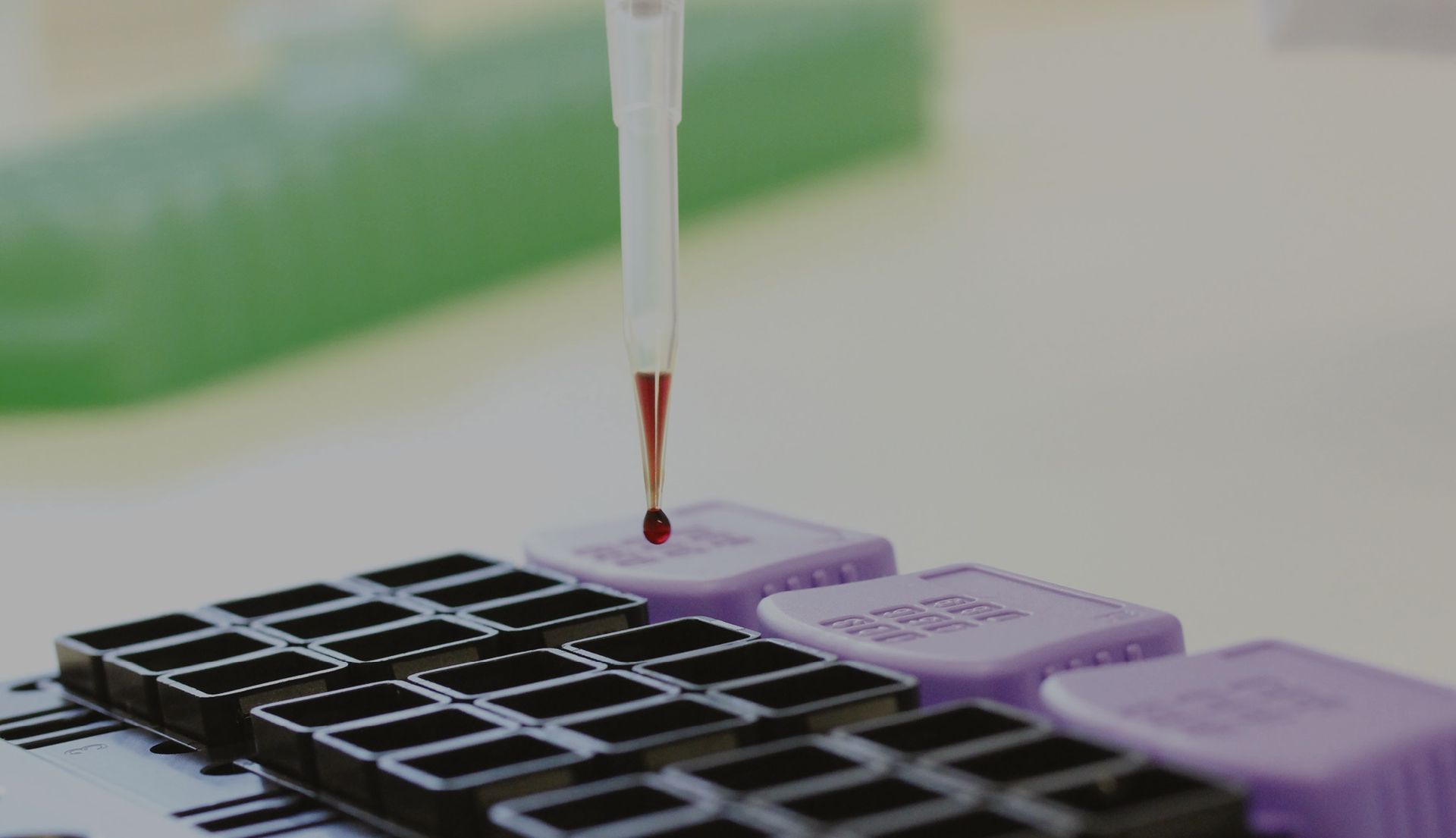 Toxicology