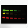 Imageries en chemiluminescence et fluorescence