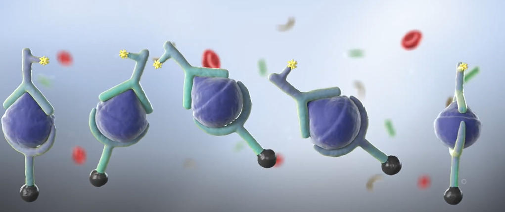 Immunodosages automatisés