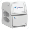 PCR amplificatie