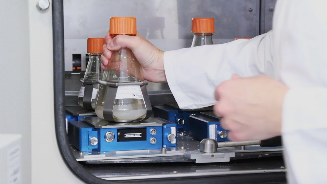 Monitoring de shake flasks