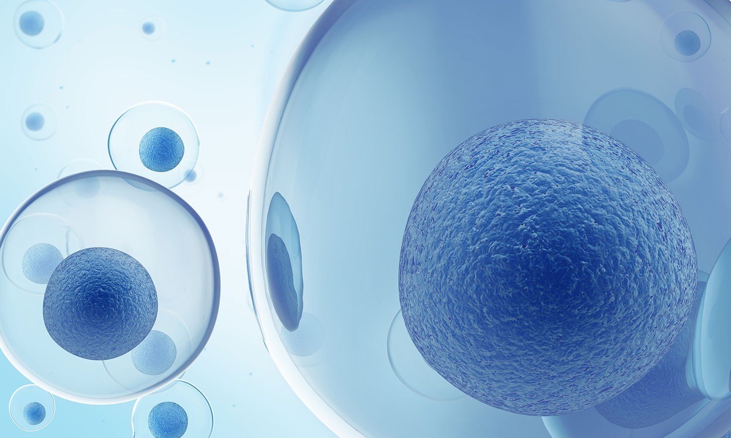 Cell health