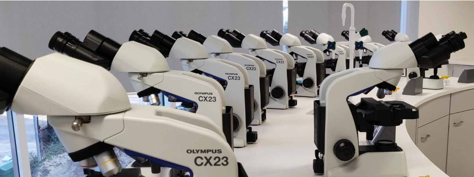 Microscopes for Education