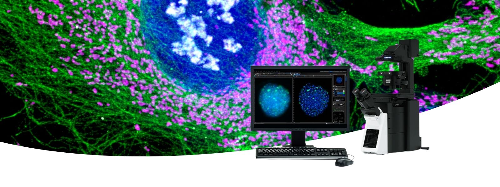 Software for Life Sciences Microscopes