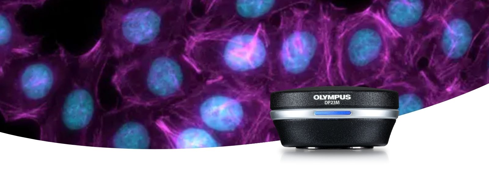 Black and White Camera for Microscopes