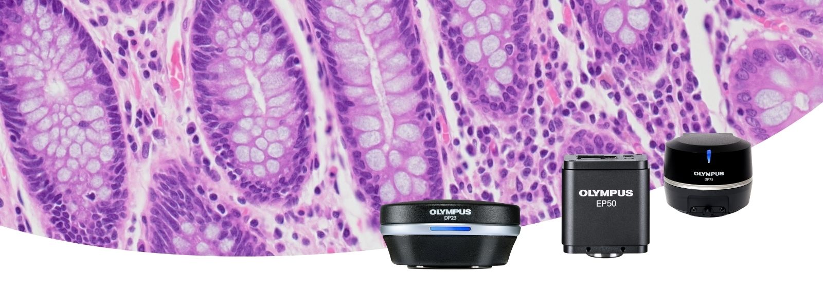 Kleurencamera voor microscopen