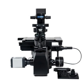 Microscopes inversés pour les sciences de la vie