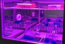LED Lighting panel and control kit, red &amp; blue for ZWYR-293; ZWYC-293G