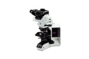 BX53-P Polarizing Microscope