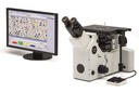 GX53 ​Microscope métallurgique inversé