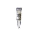 10kDa Internal Standard