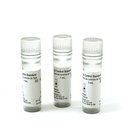 IgG Control Standard - 3 Pack