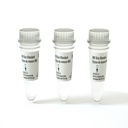 Molecular Weight Sizing Standard - 3 Pack